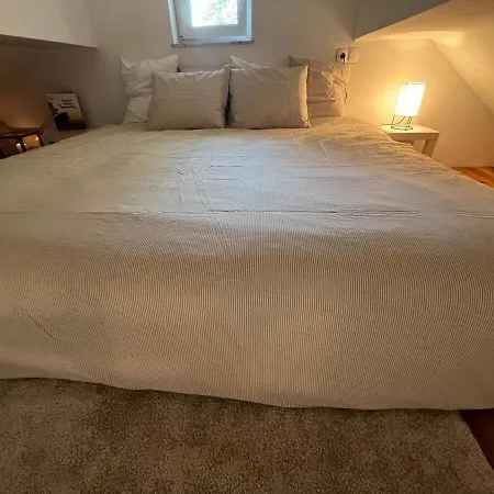 Nature And Access - Perfect Base In Apartment Laibach