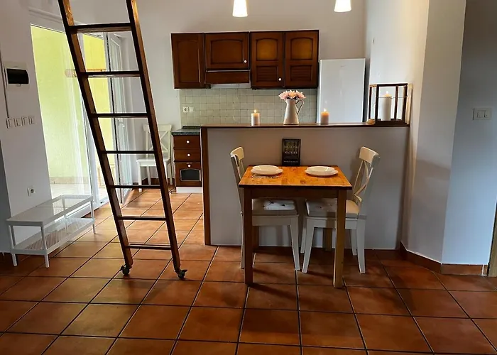 Nature And Access - Perfect Base In Apartment *