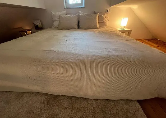 Nature And Access - Perfect Base In Apartment Laibach